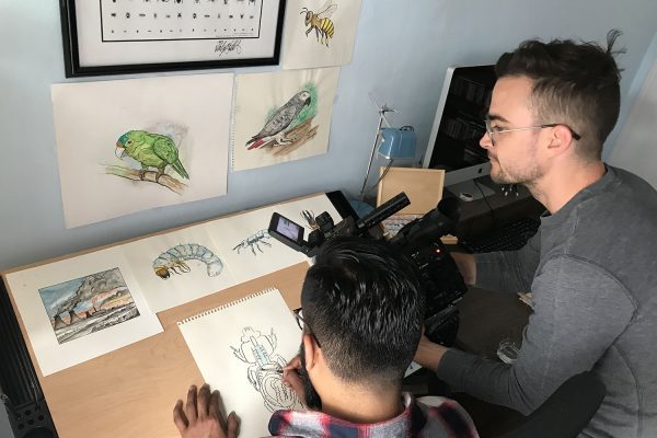 Filmmaker captures scientist painting beetles