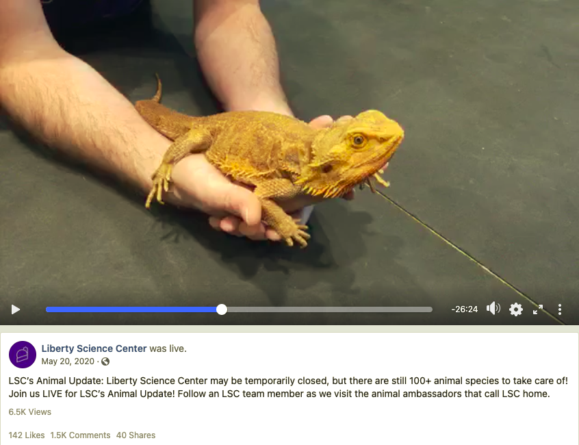 Thumbnail of Liberty Science Center's Animal Update Livestream